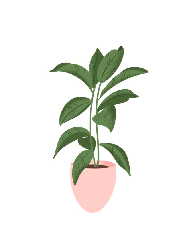 设计基础插画素材网站,插画ui素材