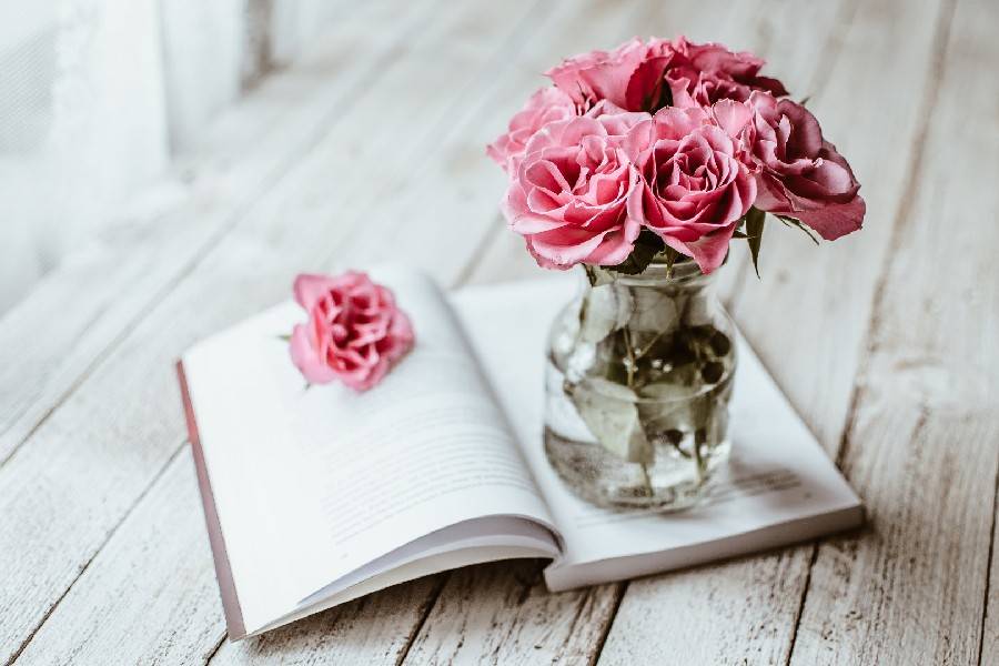 言心之恋全集免费观看,言一情感故事