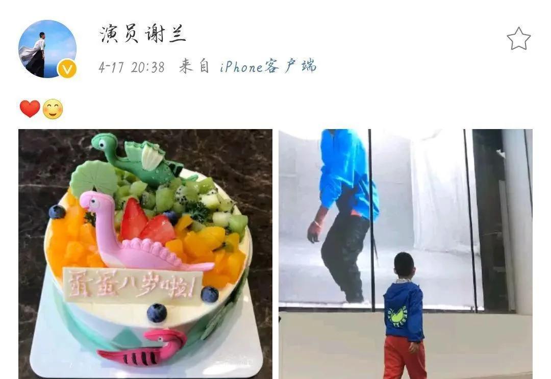 谢兰演员主演电视剧,演员谢兰自曝淡出娱乐圈真正原因