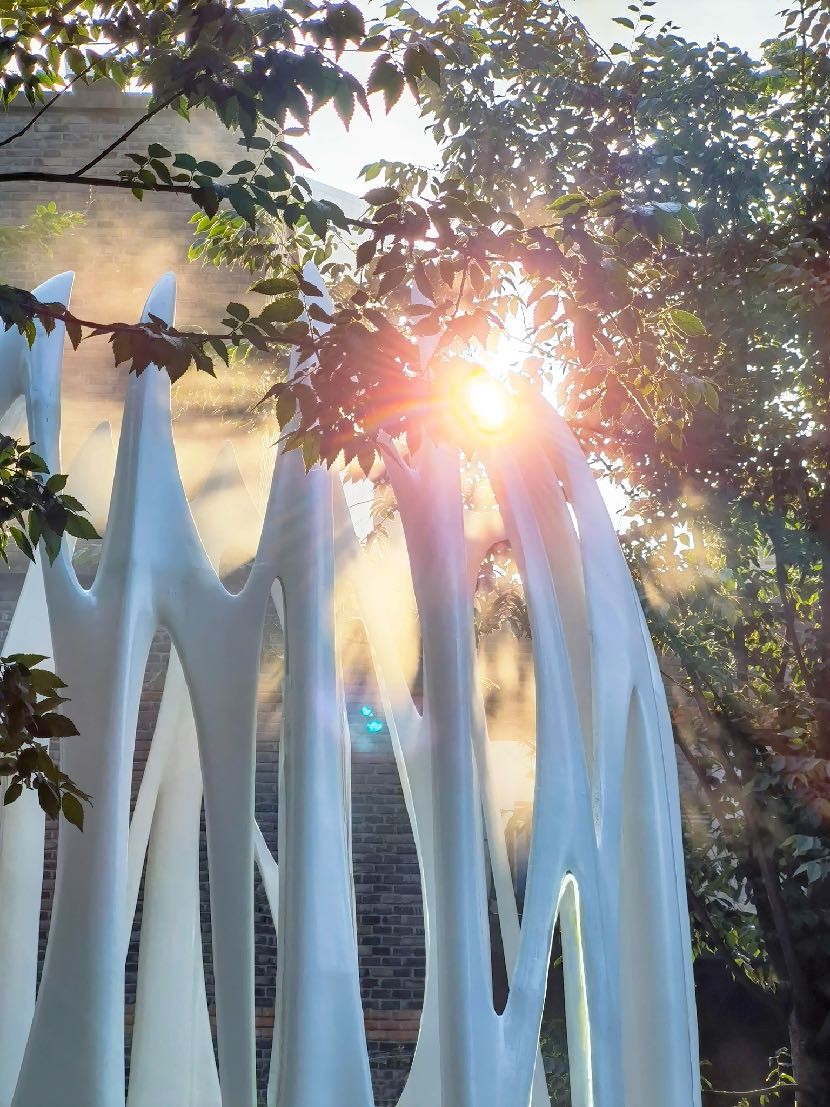 确定性与不确定的流动|城市景观设计有什么新看头?