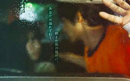 中学圣日记在线免费观看,中学圣日记日剧女主