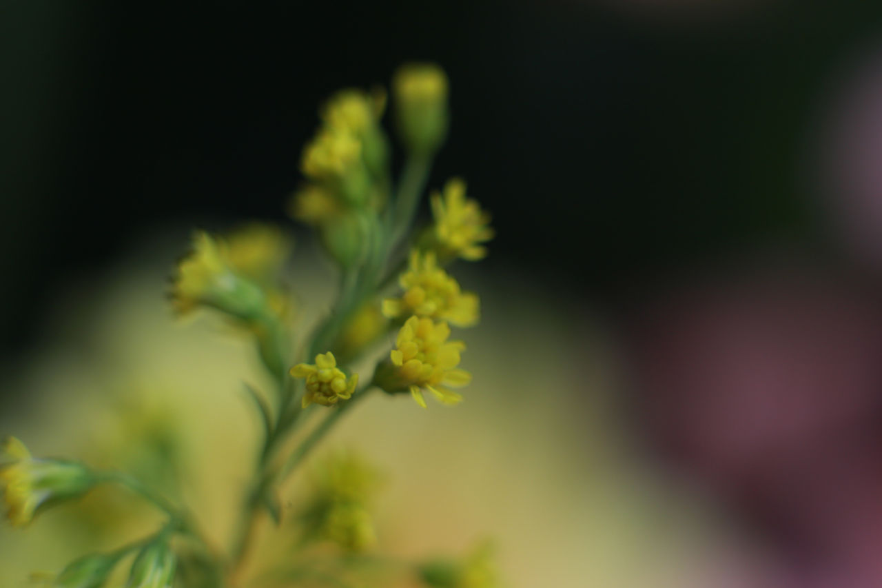 经典成语故事40则初中,每日积累100个成语故事讲给孩子听