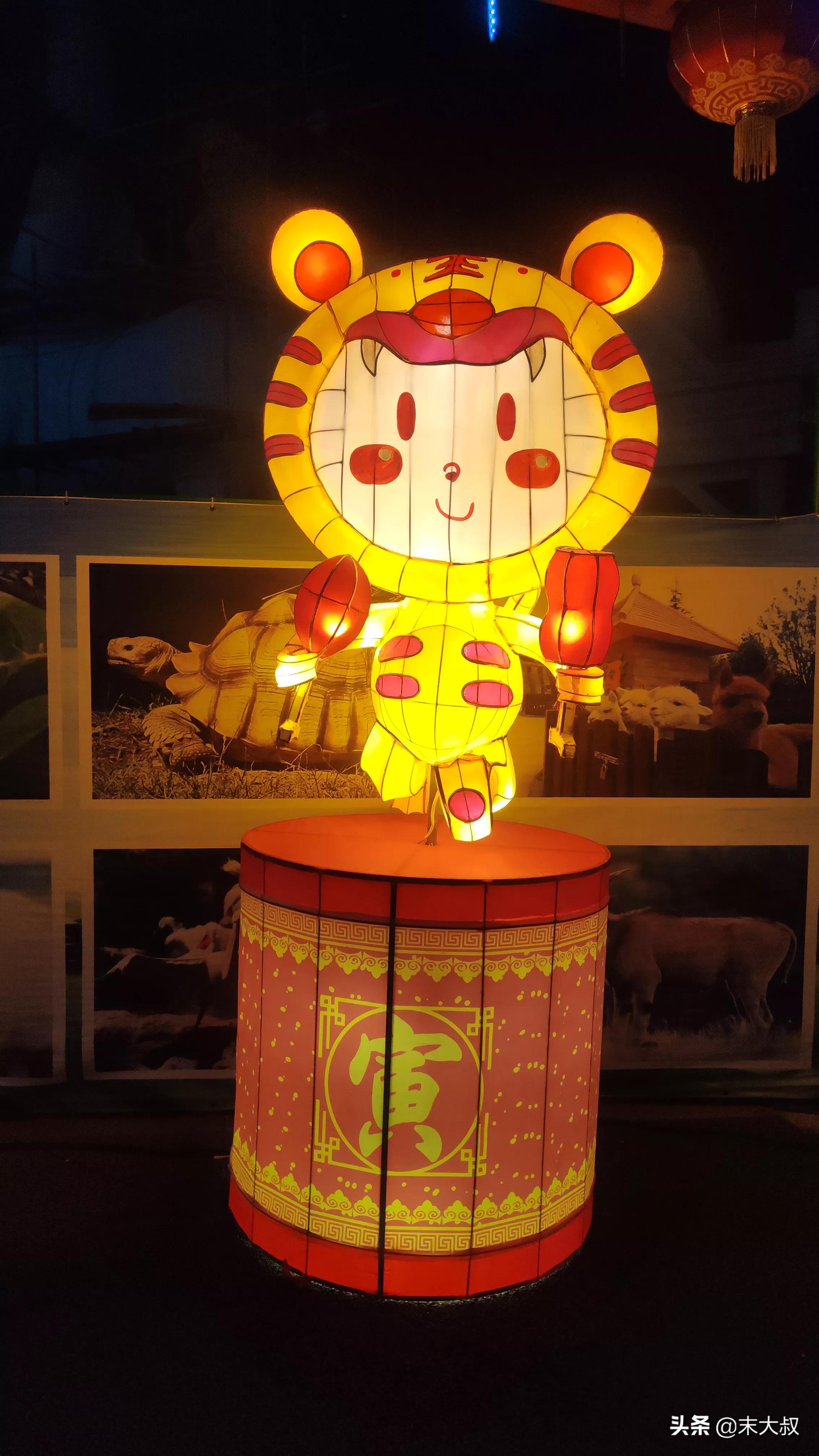 浏阳烟花花灯艺术,长沙市浏阳元宵花灯展