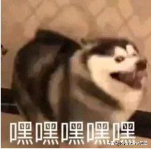 体育生怎样才能快速提高跑步成绩,如何跑步快而不累1000米学生