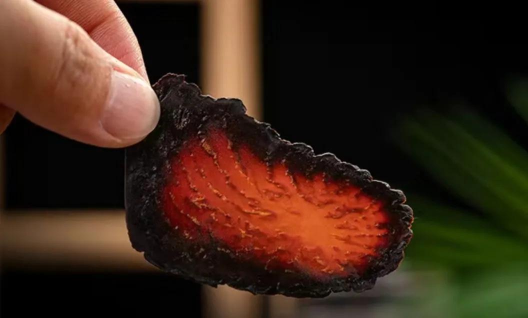 内蒙苁蓉生长在什么位置,内蒙哪产肉苁蓉