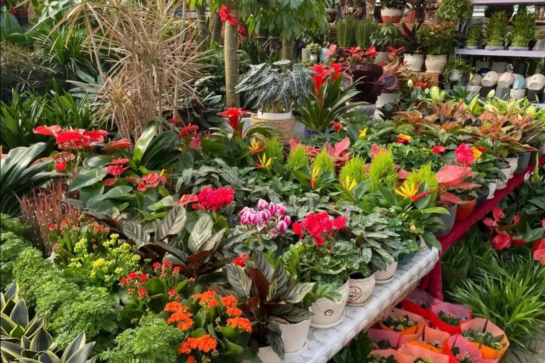 西安批发市场大全,西安最全批发市场地址