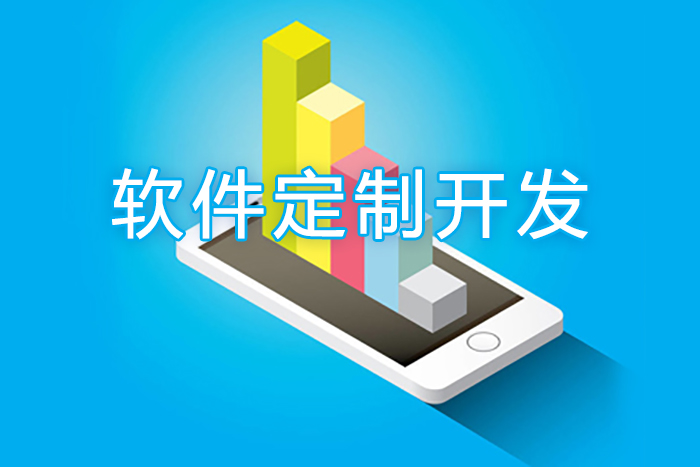 武汉app定制开发公司,小程序app定制开发系统报价