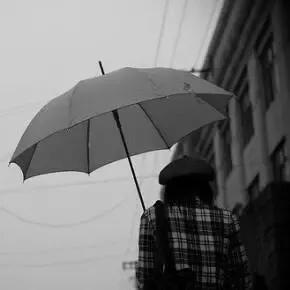 一把雨伞的故事,一把雨伞就是一个故事