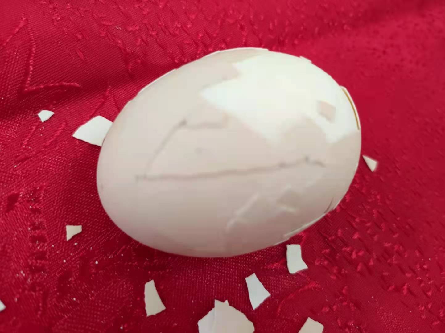 老赵探访,老赵在路上最新视频