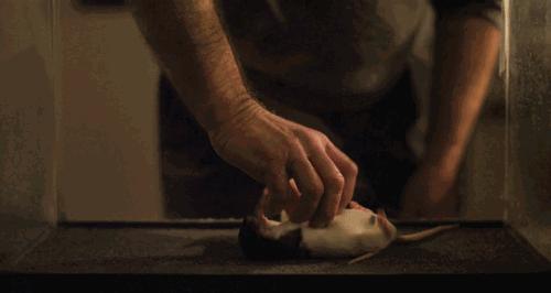 毁容怎么治,什么抹脸会毁容