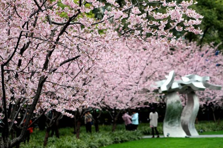 上海30家“休闲好去处”:一半以上都免费,够玩一整年