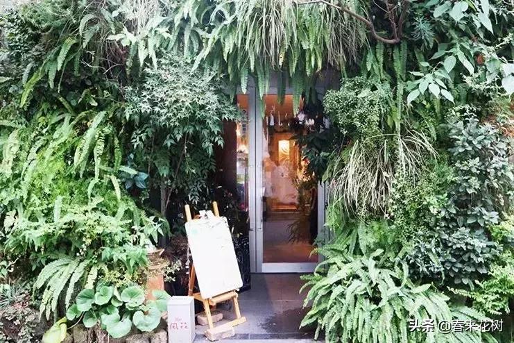 日本东京花店推荐,超美的花店