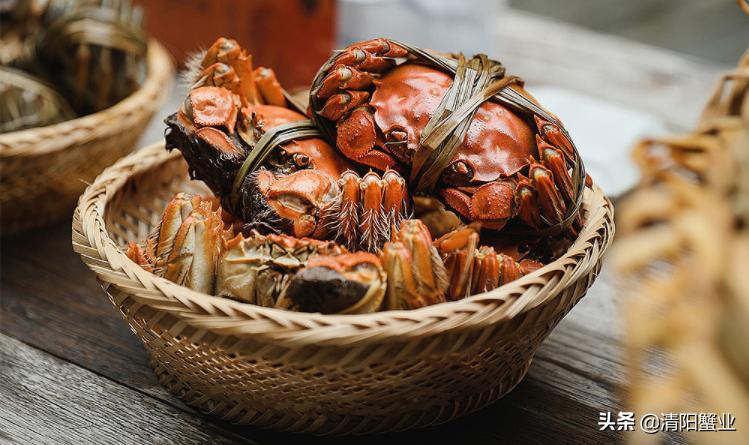 镇江正宗阳澄湖大闸蟹新鲜美味,阳澄湖大闸蟹秋天的美味