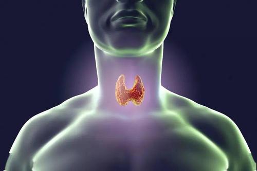 甲亢引起心悸发慌中药调理,甲亢引起心脏衰竭好治吗