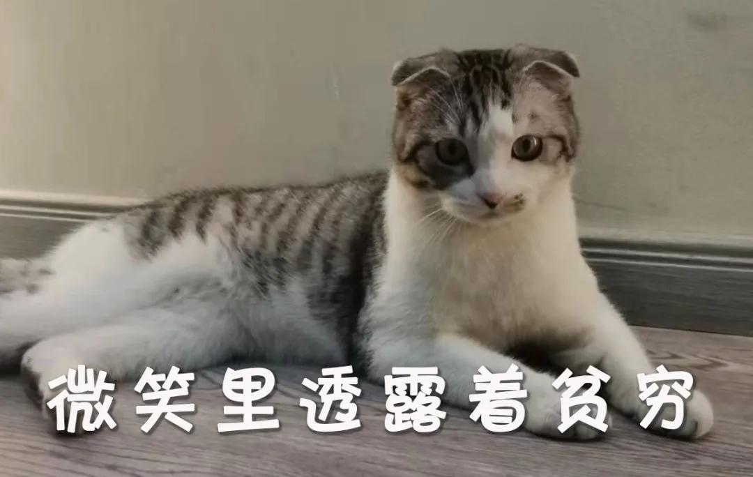 高铁为什么没有e座,高铁上为什么没有e座蚂蚁庄园