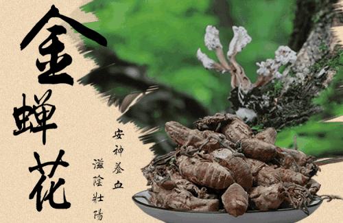 干货的它180元一两，只生长在大山里