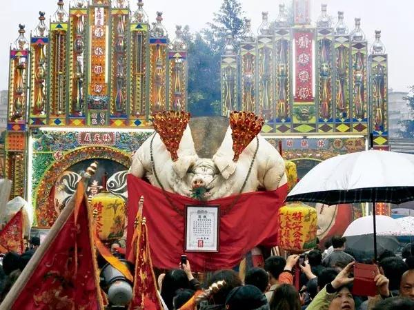 猪年说猪,猪年趣谈猪