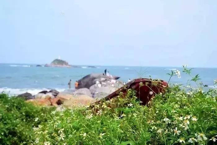 厦门新晋网红打卡地免费,厦门网红打卡点海湾公园