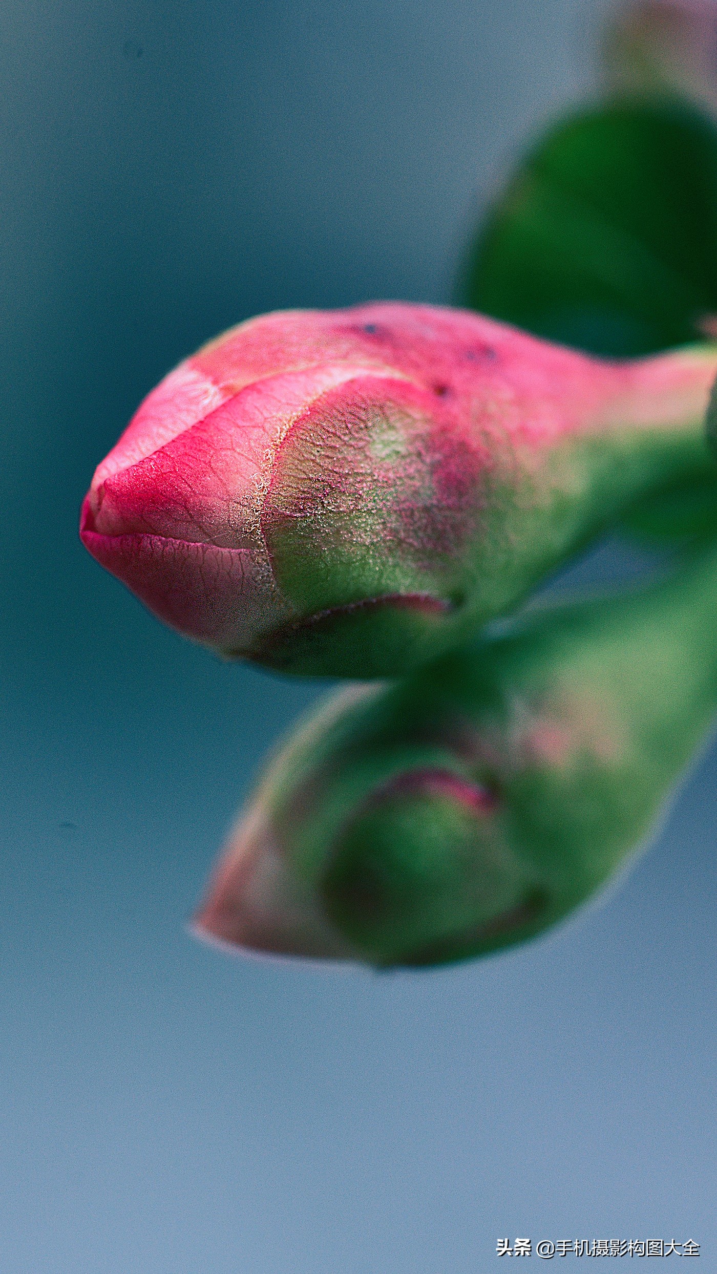 把你的相片做成动态图片,试试你的照片动漫效果