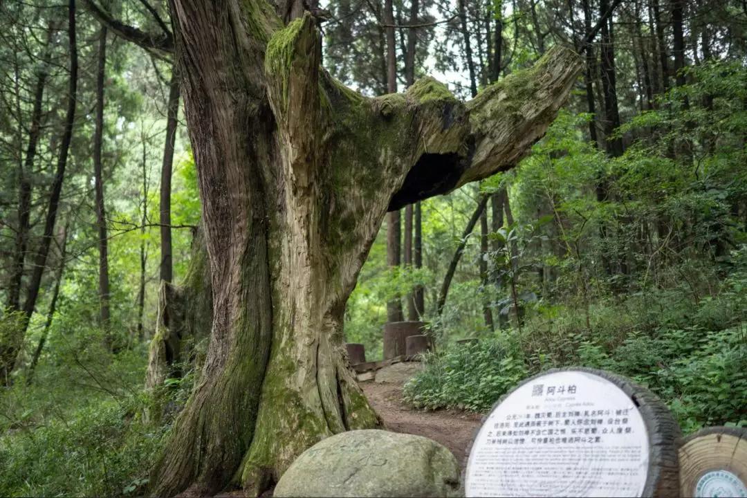 秦始皇张飞,秦始皇冬游