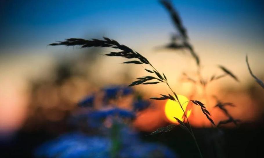 古诗鉴赏七月诗经,描写七月十五月亮的诗