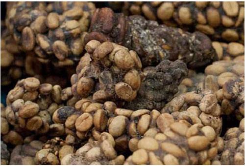 印尼旅游带什么伴手礼,印尼特产伴手礼