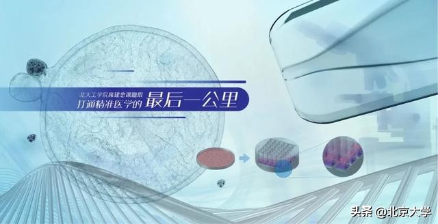 治疗癌症的重大突破科研成果,治疗癌症新药重大突破辟谣