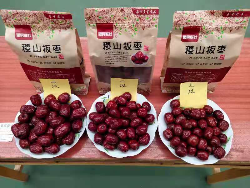 山西稷山板枣新品种,山西稷山板枣