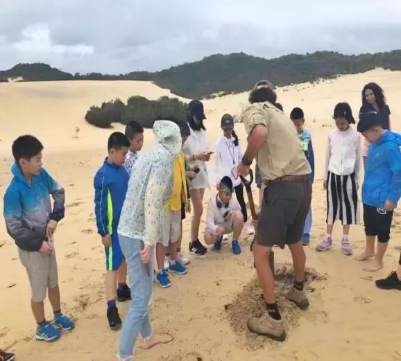澳大利亚海洋生物旅游,澳大利亚海上游