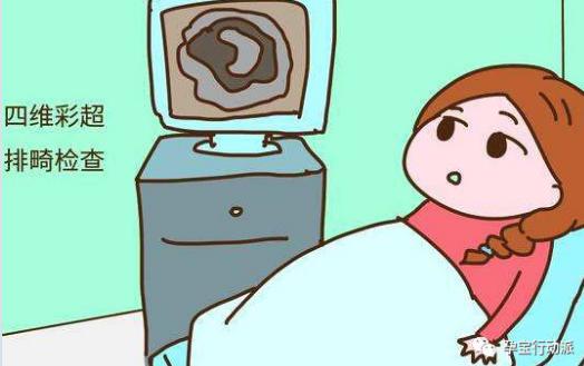 孕期周刊，第二十六周