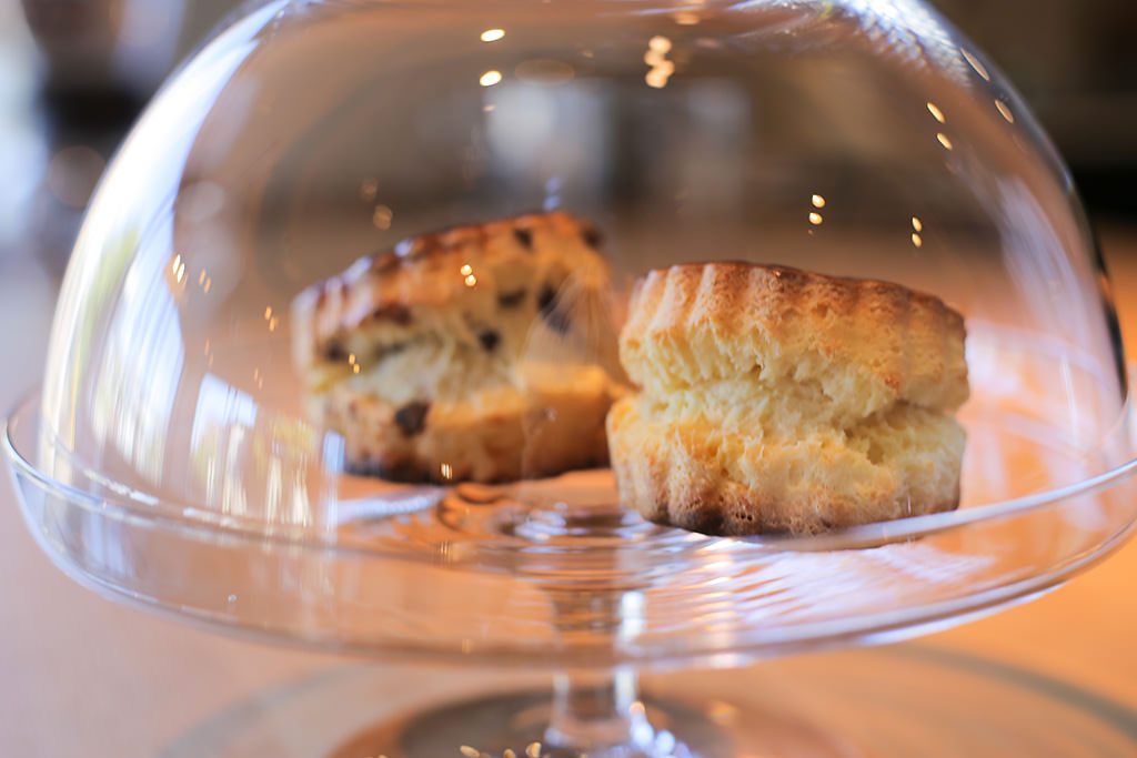 摄影小白怎么学会构图,摄影精准聚焦技巧