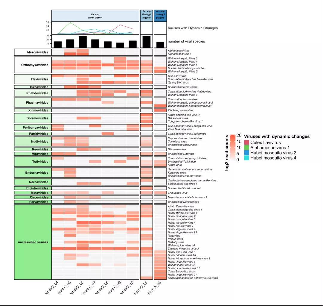 zoonoses怎么样,zoonoses