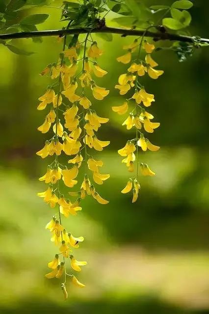 精品美文欣赏视频,精品欣赏视频大全