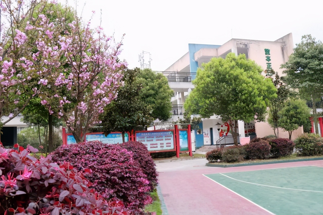 关于春天的小学生优秀作文,小学生作文春天的校园优秀范文