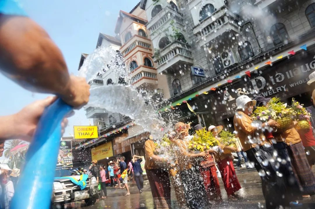 四月物语|桃杏梨大美中国、世界唯一！江浙沪紫藤芝樱绽放！