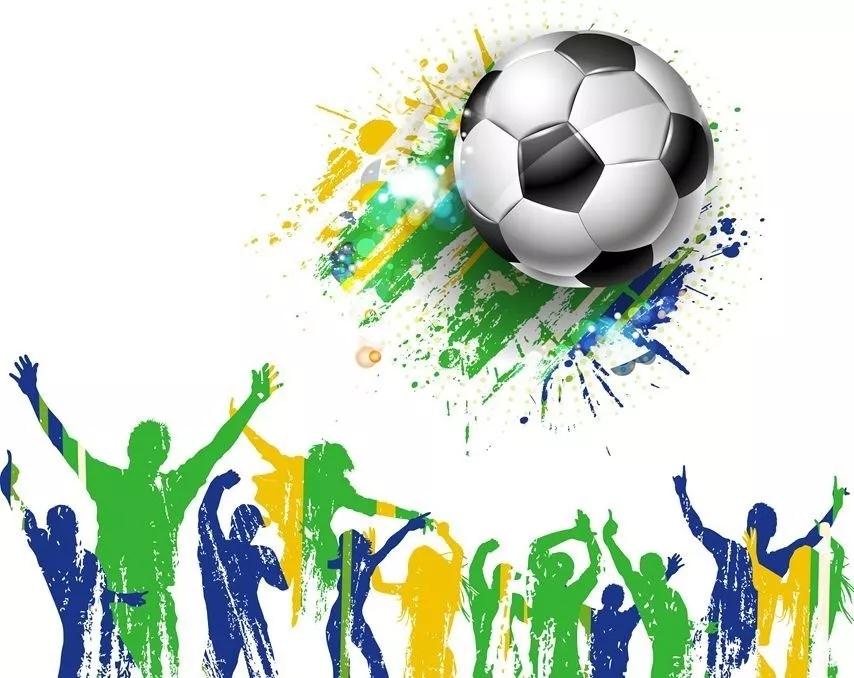 巴西联邦共和国（二）