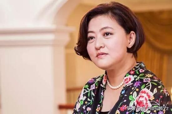 马云刘强东宗庆后,刘强东和丁磊