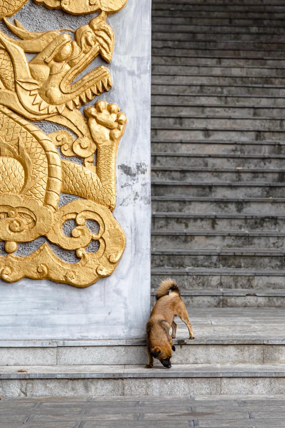 南京江宁印象,江宁不为人知的好地方