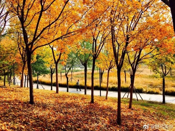 天津免费景点,天津必游的免费景点排名前十