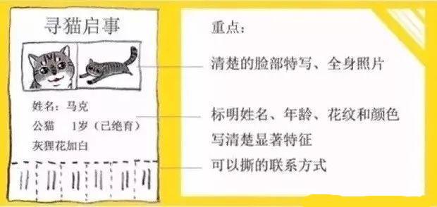 如何有效的避免宠物丢失,家里有小型宠物丢失怎么办