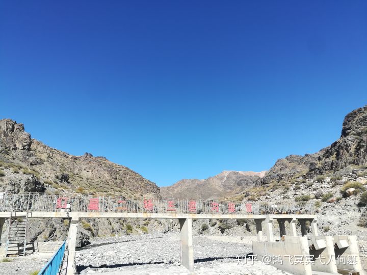 哈密戈壁之花图片,戈壁之花