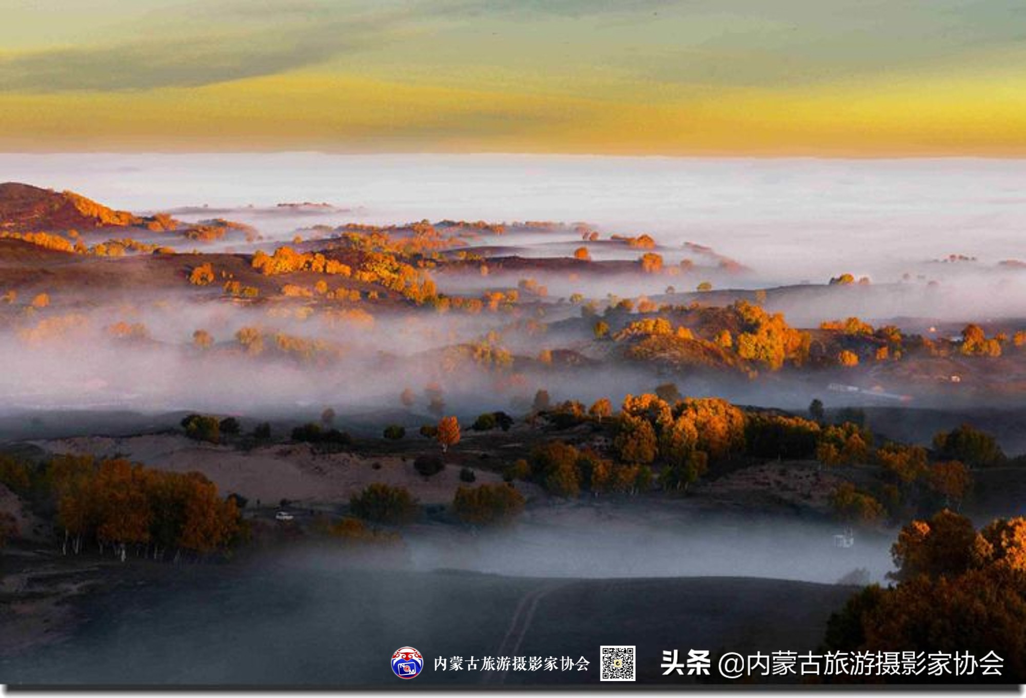 那山那水那滋味,那山那水那份爱