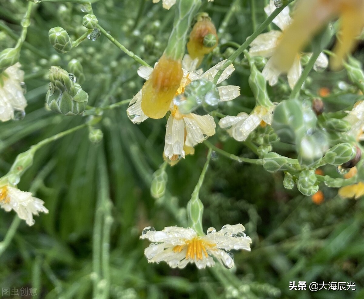 深秋天寒，时光可暖