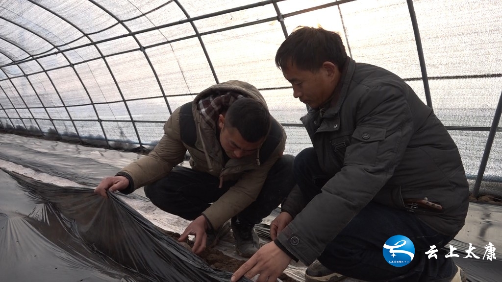 决战决胜脱贫攻坚产业扶贫,脱贫攻坚致富之路