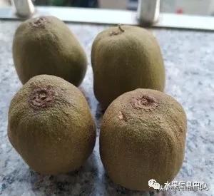 在网上买水果遇到假货怎么办,网上购买水果会被坑吗