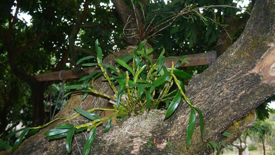 疫情过后娱乐行业重创,疫情过后旅游业的反弹