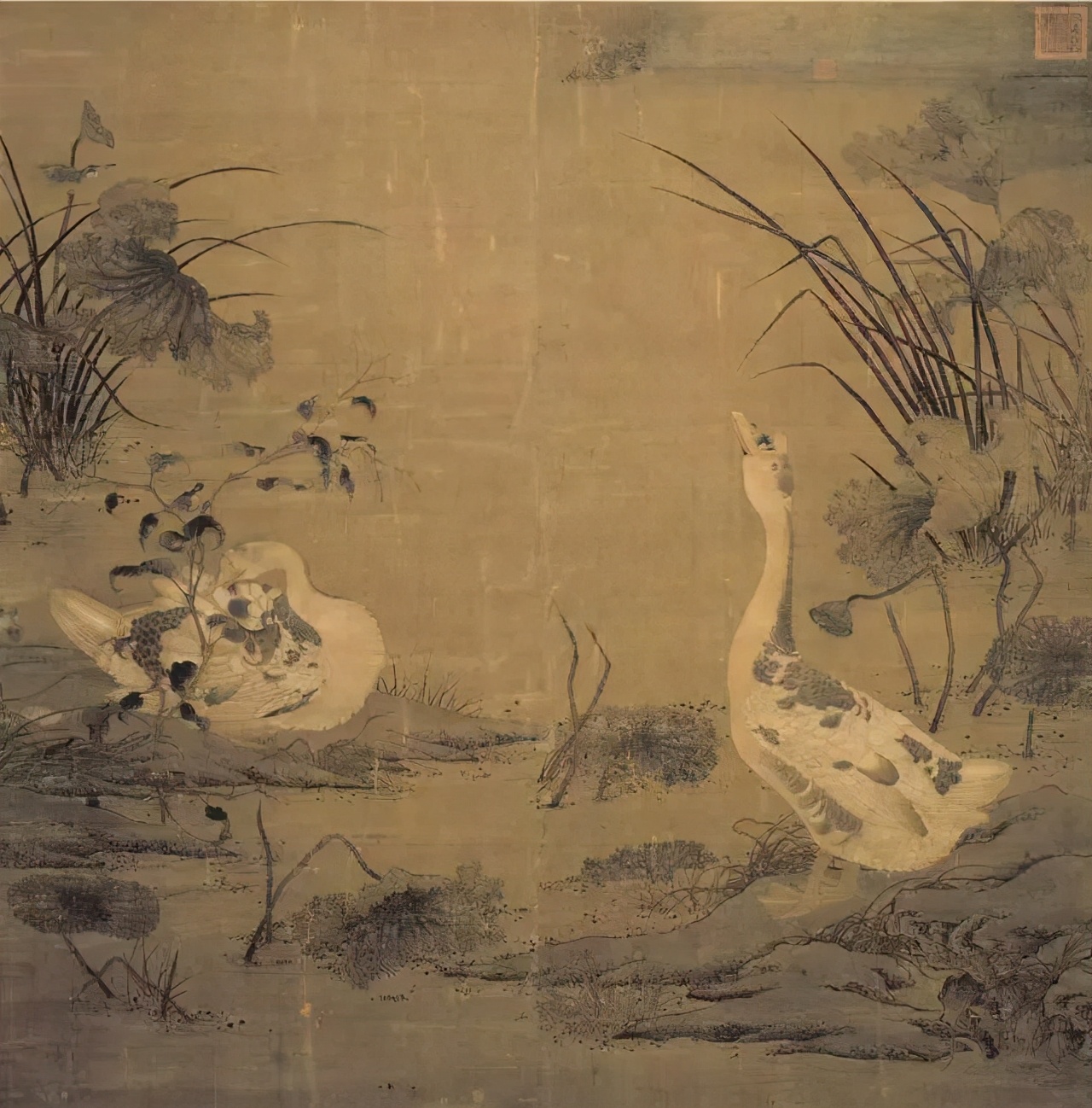 宋画大系花鸟卷,宋画花鸟卷