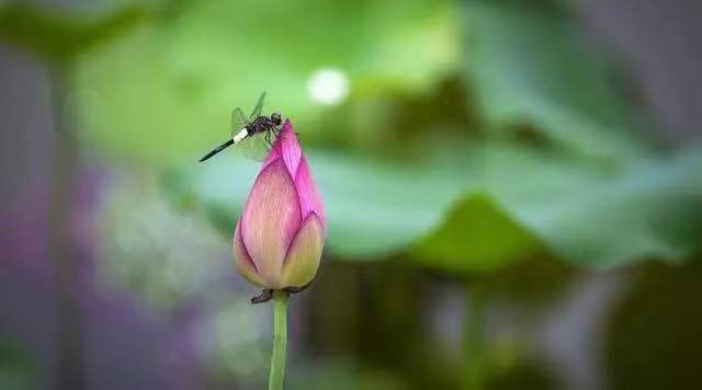 期货交易的最佳时机,期货潜伏