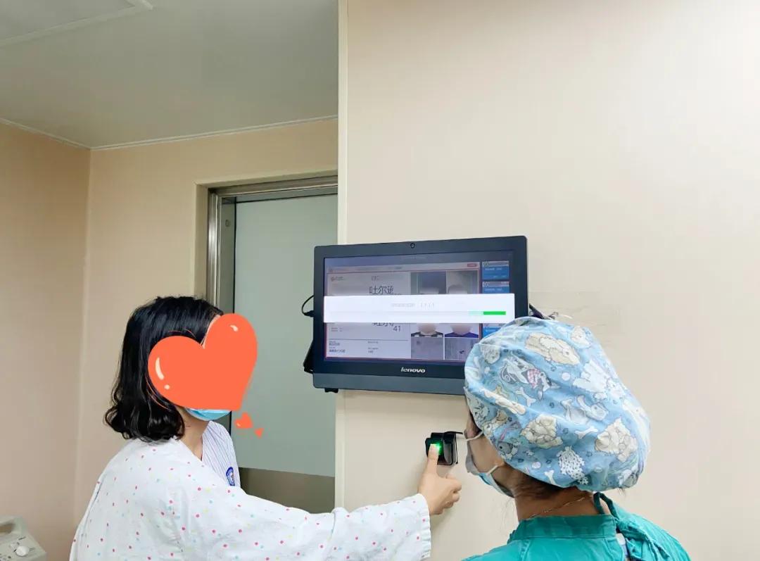 实验室探险记之胚胎小宝诞生记