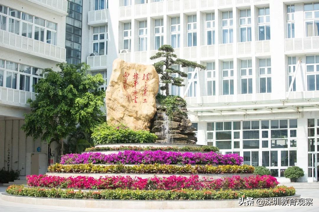 走名校vol.14|西乡中学:50年,我们专注做一件事